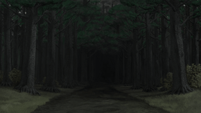 Mroczny Las