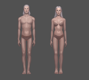 Koncept Starożytnych Elfów - bez ubrań