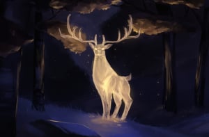 Aspekt Harmonii Jelenia